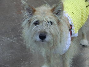 ���J���ȕ\��