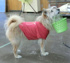 ���g��������u�����v�����