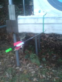 �h��T���h�C�b�`�ɓ���������