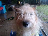 ���ԔG��̂����